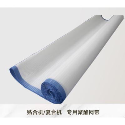 China Factory 100% Square Holes Fabric Polyester Plain Weave Mesh Belt For Paper Making Industry for sale