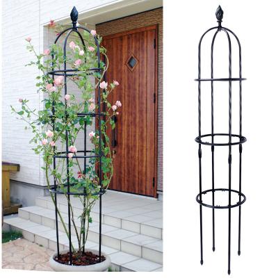 China Viable Container Rose Climbing Frame Round Garden Rose Combination Support Obelisk for sale