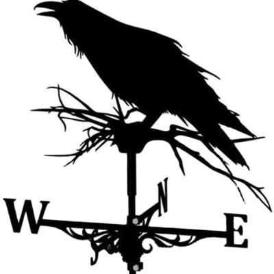 China Minimalist Generic Home Weather Vane Wind Direction Indicator Metal Ornamental Decor for Backyard Garden - Crow for sale