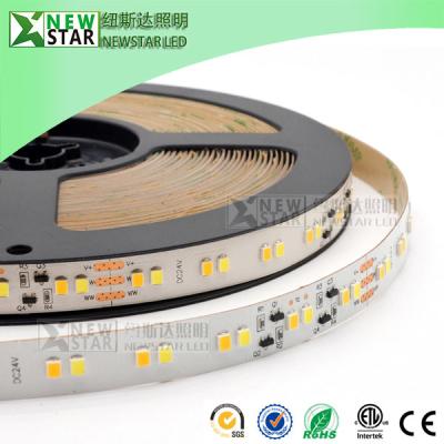 China WW+W 15m CC smd2835 Constant current Dual white strips CCT adjustable 2835smd Led Strip Lights from 3000K to 6000k for sale