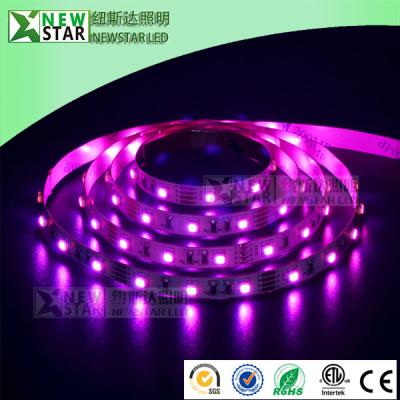 China 3825 RGB red blue green 3 colors in one LED SMD3528 RGB full color dc12v 24v 3528smd rgb led strip lights for DMX design for sale