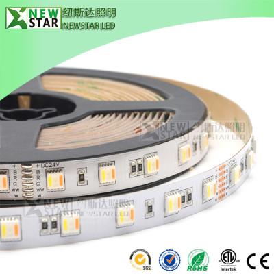 China RGBCCT 5 in one LED five colors in one chip RGB WW W full color rgbwww 30 60 72leds 12v RGB+CCT DC24V LED Strip Lights for sale