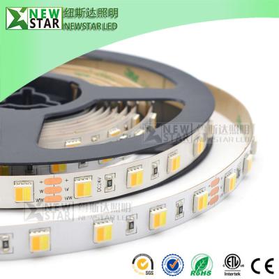 China CCT 2in1 5050 2 chips in one 12v 24v led CCT flexible strip WW+W dimmable dual white CCT adjustable led strip lights for sale