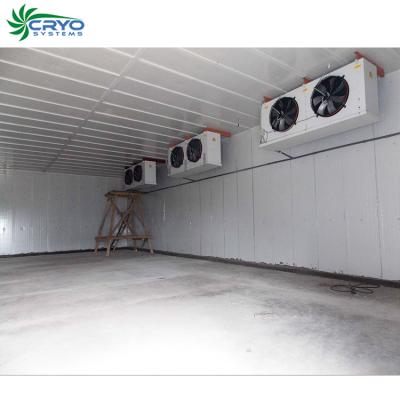 China Hotels Sardine Frozen Fish Fresh Room And Freezer Room Mini Refrigeration Plant Frozen Cold Room For Fish for sale