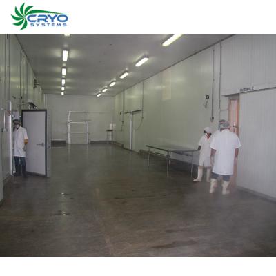 China High Density PU/PIR Panel Large Scale Blast Freezers Room For Shrimp Blast Freezer For Poultry for sale