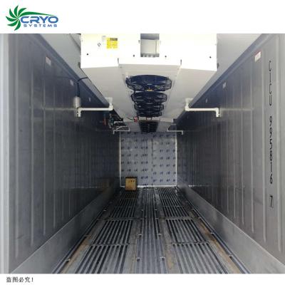 China Containerized Seafood Hotels Seafood Air Jet Freezer Quick Cold Storage Container Blast Freezer for sale