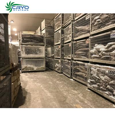 China Hotels Ultra Low Temperature Cold Freezer Room For Tuna Fsh Air Blast Freezer Seafood Cold Storage for sale