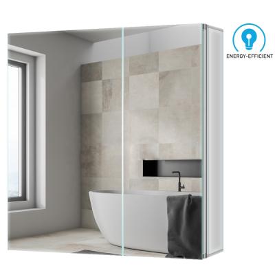 China Modern Bathroom Medicine Cabinets Mirror Cabinet With Large Storage And Adjustable Shelves for sale