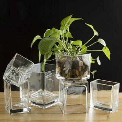 China Europe square glass vase transparent thicken glass flower vase for table decoration for sale