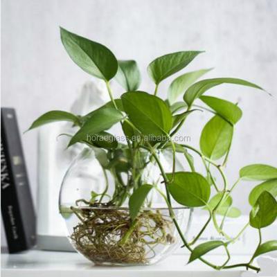 China Artificial European creative transparent glass vase water culture plant round flower pot for living room for sale