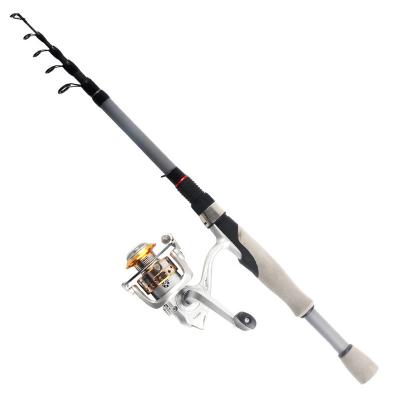 China Carbon Factory Wholesale Lightweight Telescopic Mini Pen Fishing Rod Reel Combo Set for sale