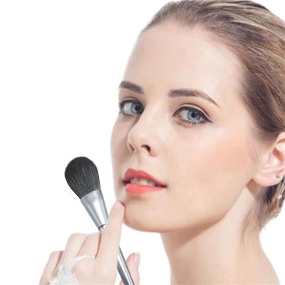 China OEM Manufacturer Long Lasting Natural Silver Handle Makeup Brush Powder Foundation Makeup Brush Kit for sale