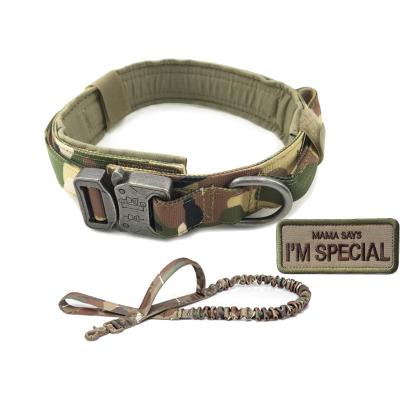 China Custom Viable Logo Dog Collar Durable Nylon Dog Collar and Large Leash Tactical Military Clasp Dog Collar Dog Collar for sale