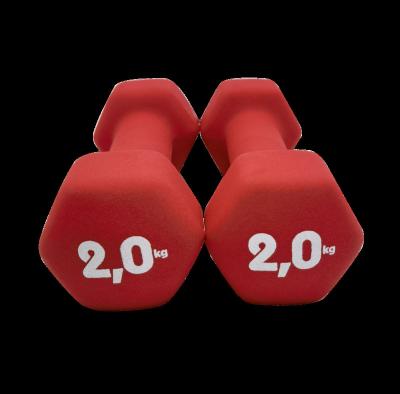 China Durable High Quality Vinyl Dumbbell Red Hex Dumbbell Buy Customizable Dumbbell Online for sale