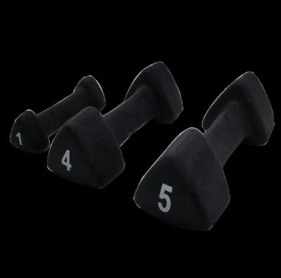 China Factory Sale Home Gym Use Dumbbell Durable Black Portable Rubber Coated Dumbbell Manufacturer for sale