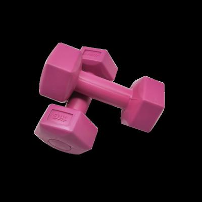 China Durable Cheap Power Training Cement Weights Sand Filled Hexagon Dumbbell Factory Sale for sale