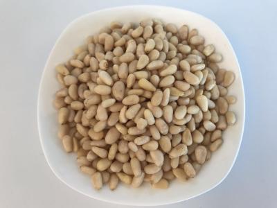 China Organic Pine Raw Sprouted Nuts No Food Color Handpicked Material With OEM Service for sale