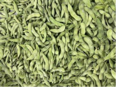 Cina Edamame Beans congelato ad alta percentuale proteica certificato HALAL in vendita