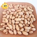 Cina L'OEM in buona salute naturale ha arrostito la soia salata Bean Snacks Handpicked Vegan Beans in vendita