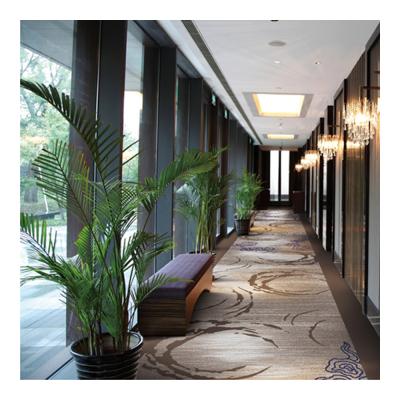 China Tufted Nylon Printed Carpet Roll For Holiday Express Hotel Public Areas for sale