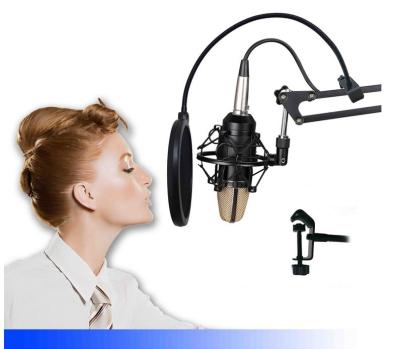 China Shock Mount Microphone Wind Screen Flexible Studio Mic Filter Windscreen for sale