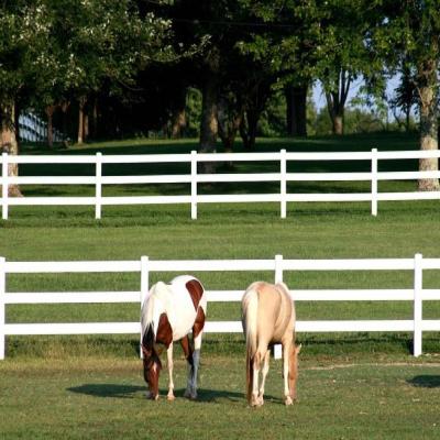 China Hot Selling Outdoor Easily Assembled Strong PVC 3 Rails UV Protection Proof Safety Plastic Material Horse Barrier for sale