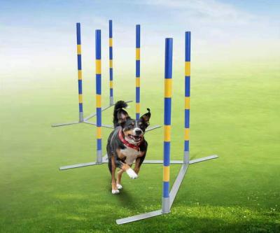 China Sustainable Dog Agility Slalom Dog Weave 6 Pole for sale