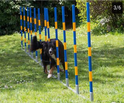 China Sustainable Dog Training Equipment Channel Slalom Dog Agility Armor Pole for sale