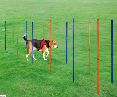 China Durable Dog Agility Training Slalom Dog Armor Poles for sale