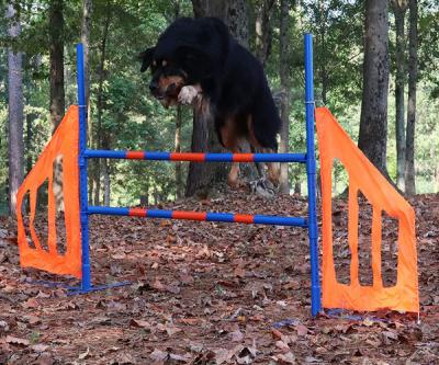 China Viable Jump Wing Hurdle Dog Sports Dog Agility Equipment for sale