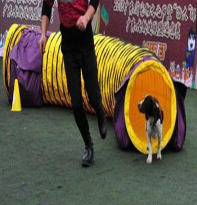 China Viable UV Proof Dog Tunnel Outdoor Dog Agility Training Tunnel for sale