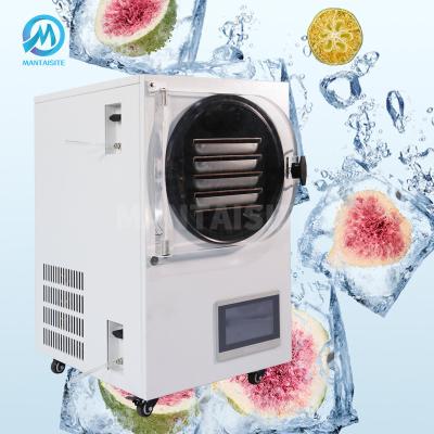 China Medicine Processing Automatic Instant Freeze Dried Papaya Powder Freeze Dryer Freeze Drying Equipment for sale