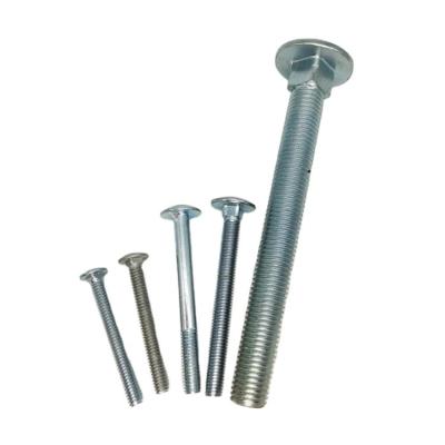 China High Quality Carbon Steel Durable Using Various China Manufacturer Hot Sale M20 Carriage Bolt for sale