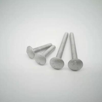 China Hot Sale Steel Carriage Bolt With Square Neck for sale