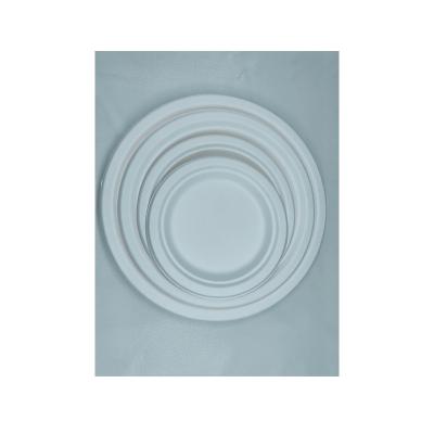 China Food LuzhouPack Christmas/Wedding/Party Plates Biodegradable Disposable Bagasse Paper Plates Wholesale for sale