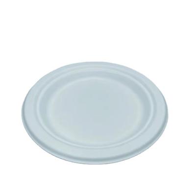 China Food High quality cheap price Premium Quality Paper Dinner Plates Convenient Bulk Pack for sale