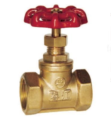 China General wholesale low price high quality brass ball valve for sale