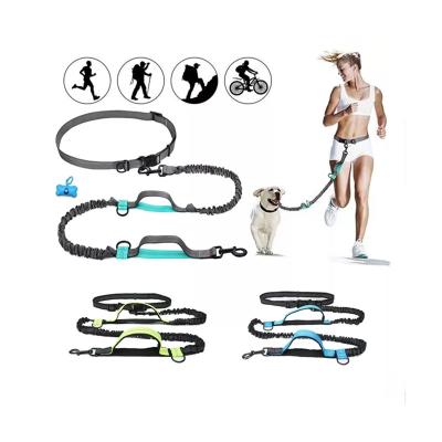 China Durable Hand Free Outdoor Running Nylon Dog Leashes Retractable Reflective Elastic Dog Training Collar for sale