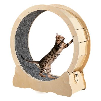 China 2023 Viable New Product Price of Large Style Wooden Cat Wheel Exerciser for Cats Indoor Treadmill Cat Running Wheel for sale