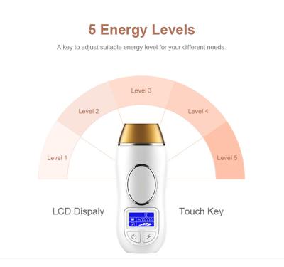 China 2019 Mini New Arrival Multifunctional Diode Lamp Head IPL Permanent Hair Removal 3 in 1 Laser Hair Removal for sale