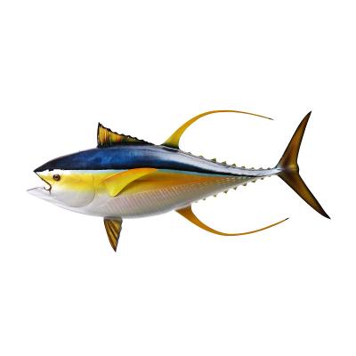 China Europe Fish Mount Tuna Release Mount Ocean Hand Painted Conservation Wall Mount Decor 74 Inch Salmon Trout Texidermy Plaque for sale