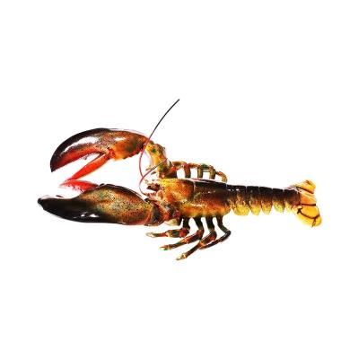 China New goods of 2022 modern interior decorations using low price 75x32x36 lob lobster restaurant room walls decorative hanging fish for sale