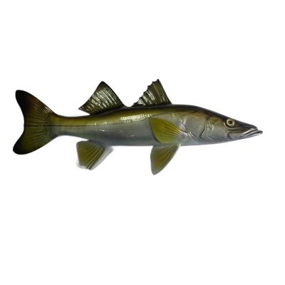 China Europe Wall Sculpts Hand Painted Hanging Plaque Snook Miniature Tuna Coastal Decor Wall Mount Trophy Taxidermy for sale