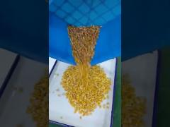 Maize/Corn CCD Color Sorter Machine