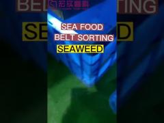 Seaweed Color Sorting Performance