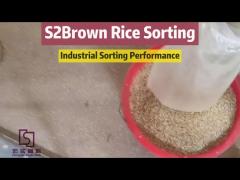 Brown Rice Color Sorter Machine Processing Line