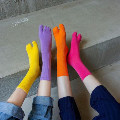 China Wholesale 2 Toe Socks Women Men Crew Japan TABI Cotton Soft Stripe Solid Toe Sock Knitting Pattern for sale