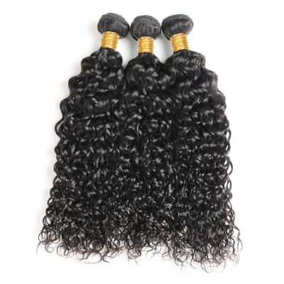 China Brazilian Remy 5A Virgin Brasilqin Luxury Silky Straight Women's Free Wave 100% Brazilian Hair Wet And Wavy Bundles for sale