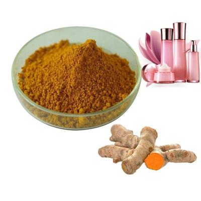 China 95% 98% Curcumin Turmeric Root Extract Powder Cas 458 37 7 Solvent Extraction for sale