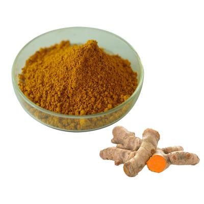 China Natural Curcumin 95% Turmeric Extract Powder For Healthcare Supplement for sale